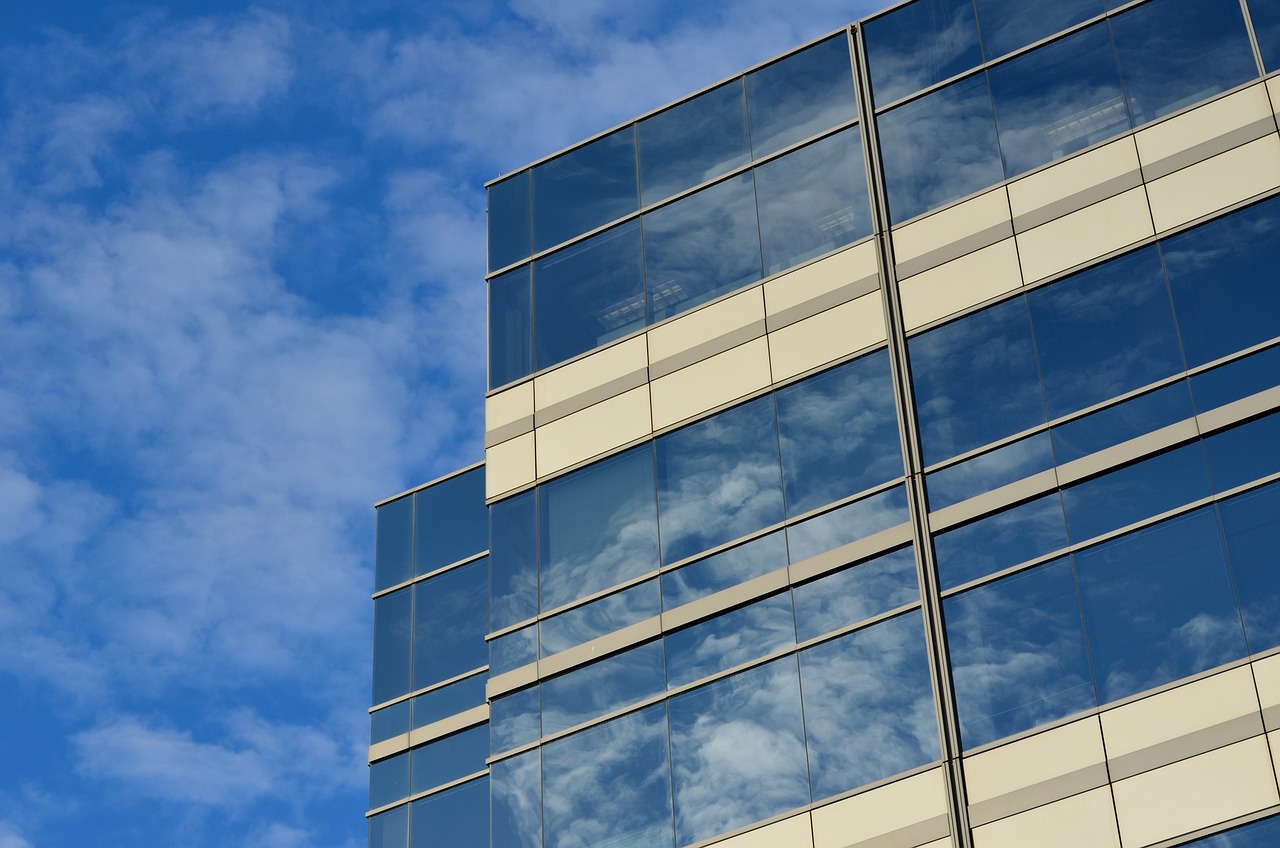 Economic Triggers for the Dual Growth in Startups and Insolvencies