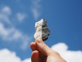 The Yin and Yang of Business: Startups and Insolvencies on the Rise