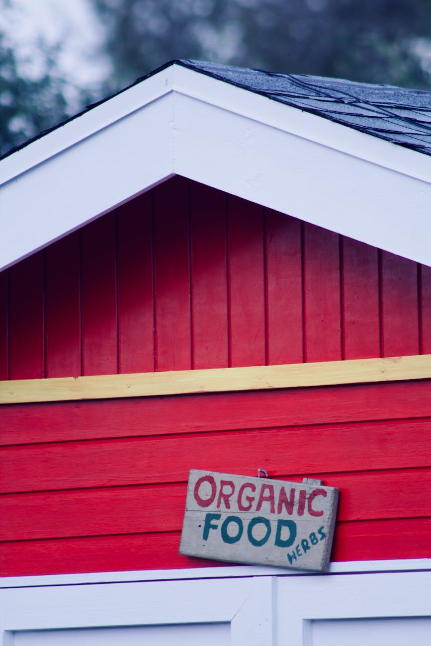 Feeding the Future: Startups Innovating in Sustainable Agriculture and Food Tech