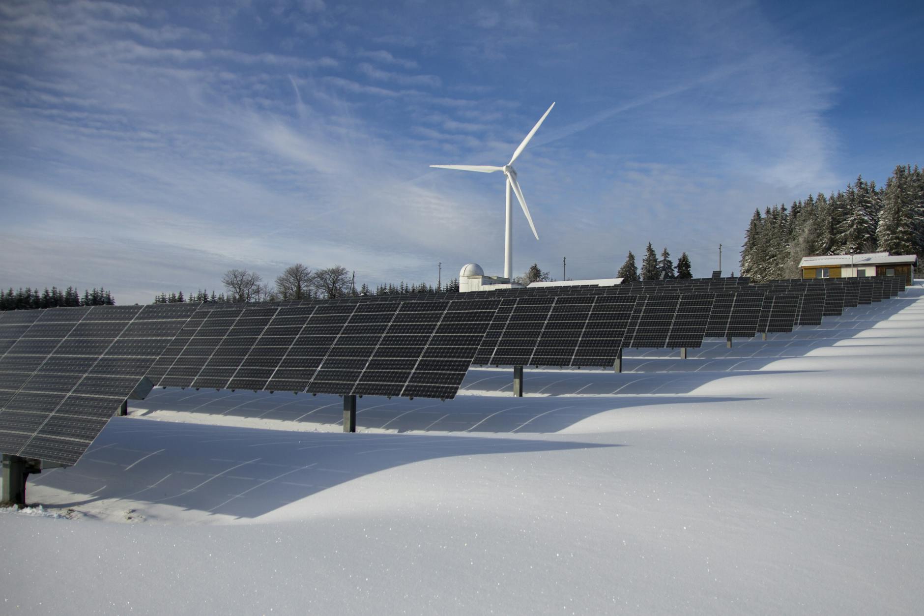 Powering Up: Opportunities for Startups in Renewable Energy Tech