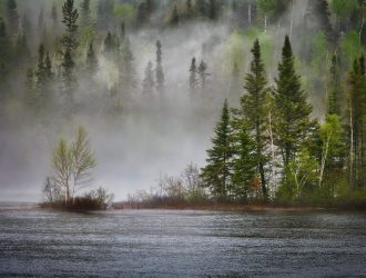 Why Everyone Is Talking About Climate Tech in 2025