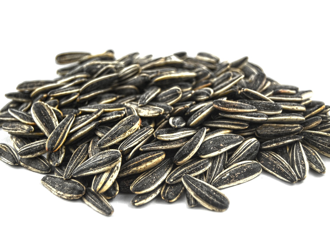seed funding