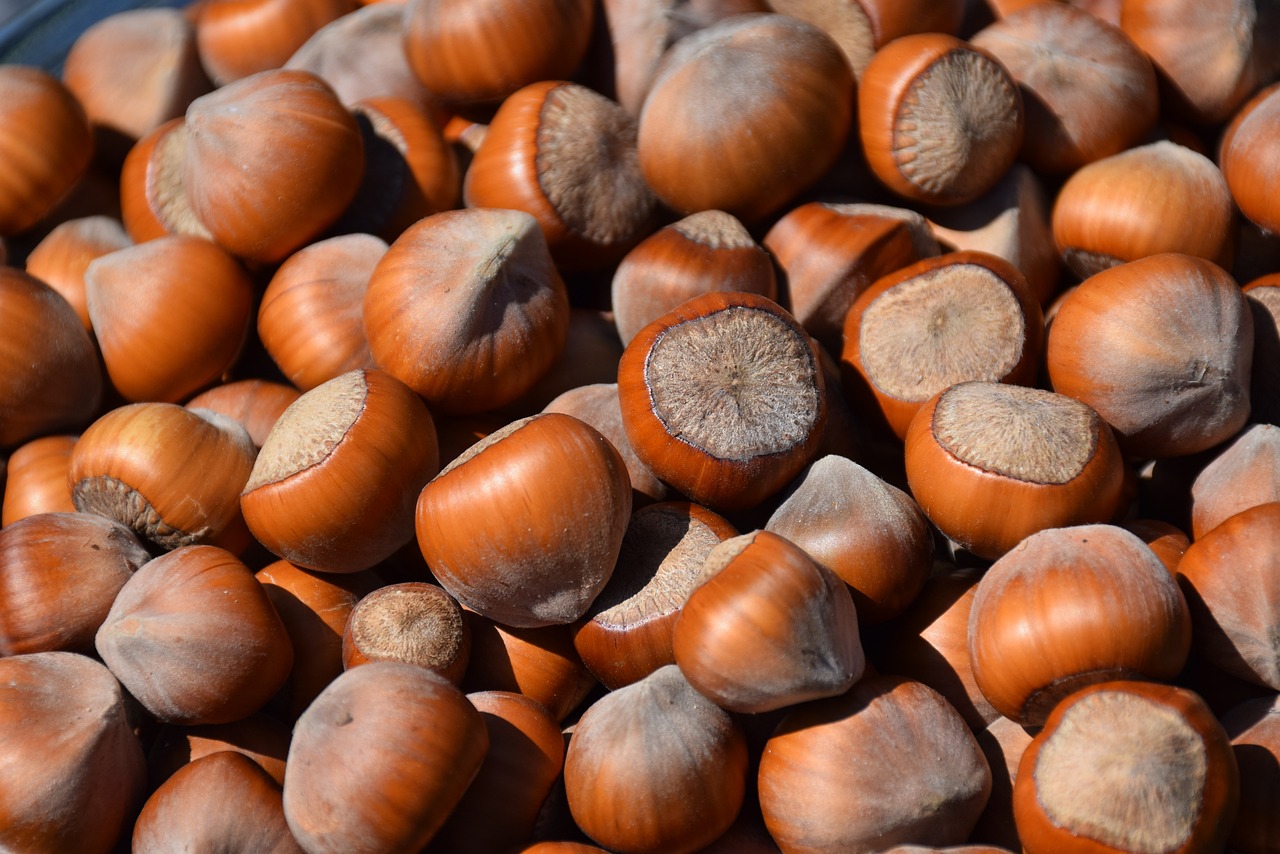 Preparing Your Startup for Seed Funding