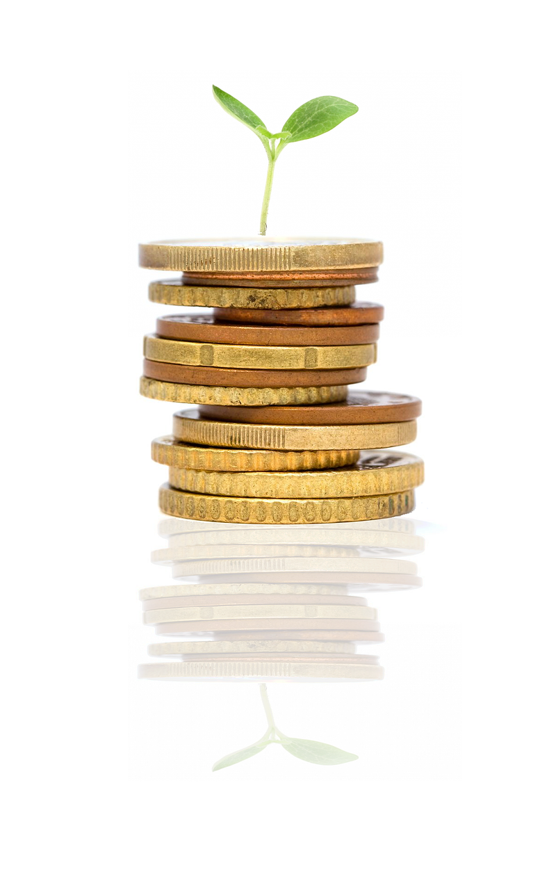 Top Startup Ideas for 2025: Emerging Opportunities